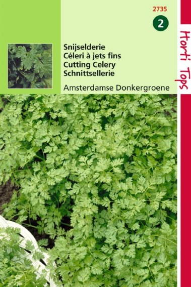 Snijselderij Amsterdamse (Apium graveolens) 5000 zaden